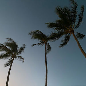 Meet your Posher, Charlie